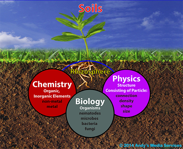 Soils 101